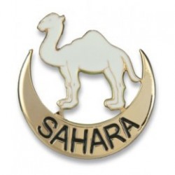 DISTINTIVO PERMANENCIA SAHARA